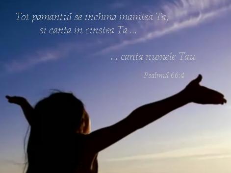 Tot pamantul