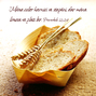 Proverbele 12 v24