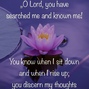 O, Lord You have searched me ...