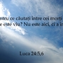 Luca 24-5,6